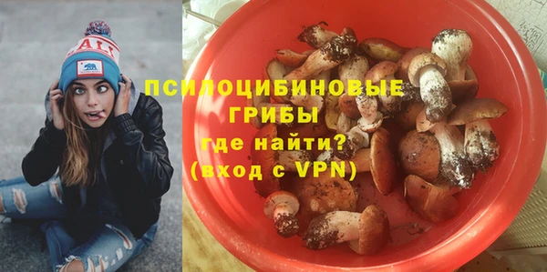 прущая мука Богородицк